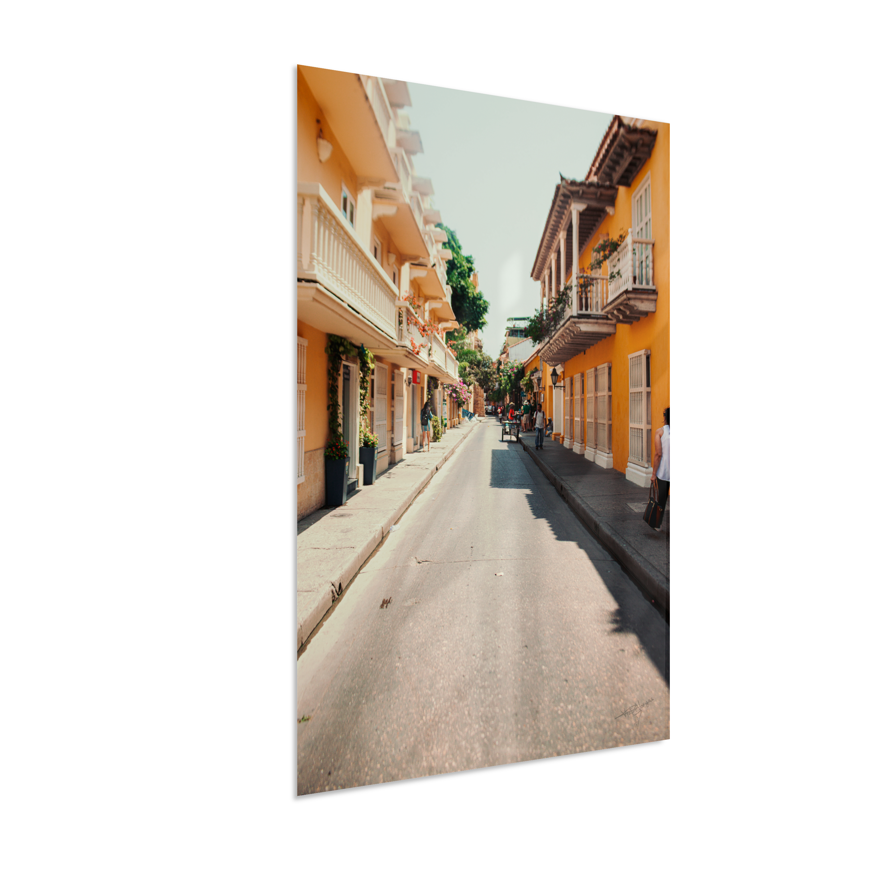 Cartagena Sun