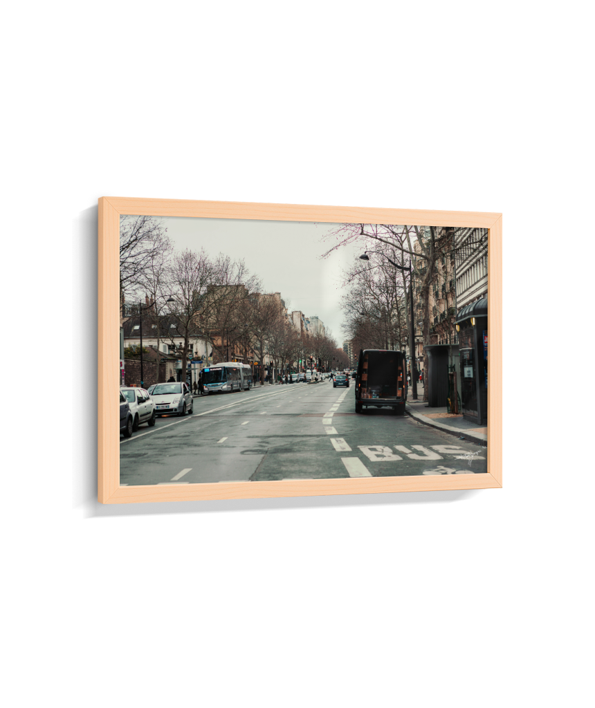 Paris in Winter