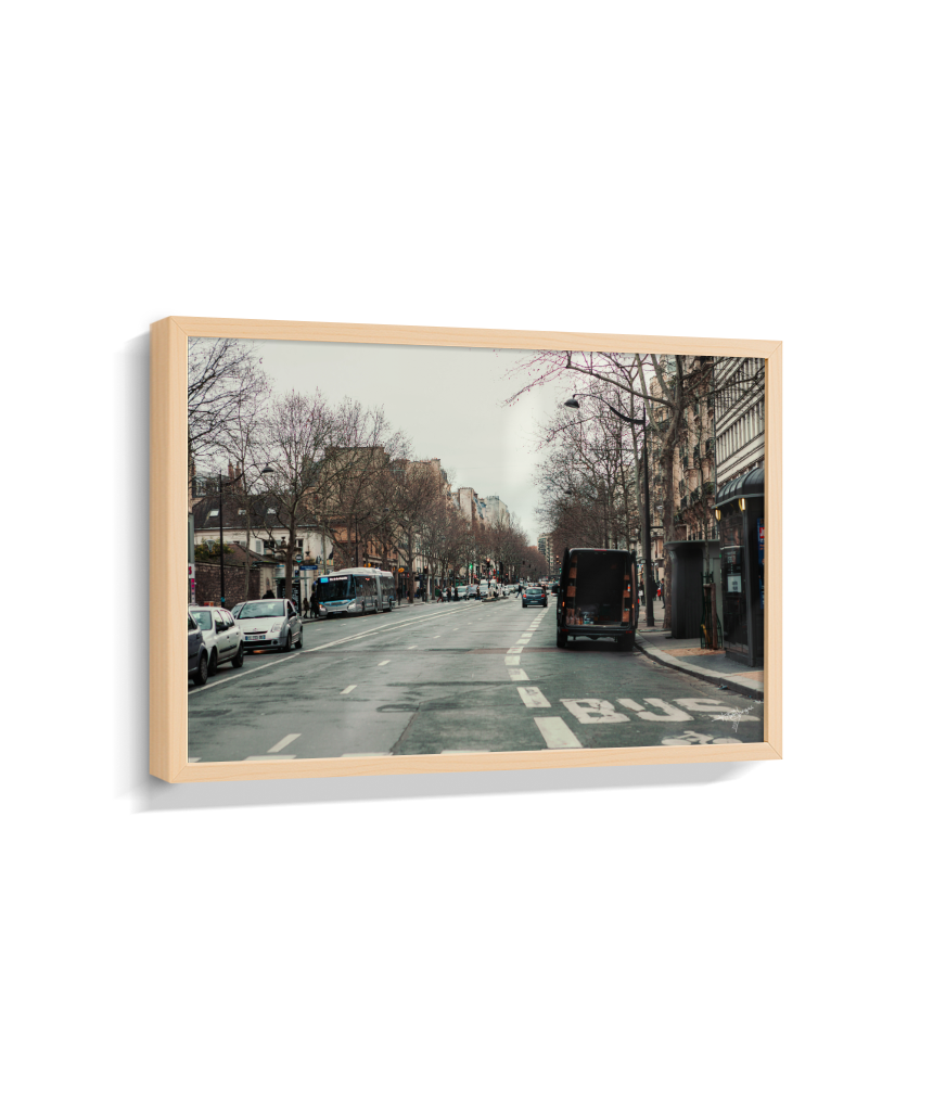 Paris in Winter