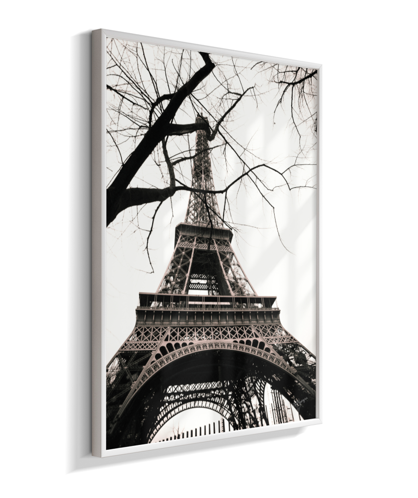 Winter Frame