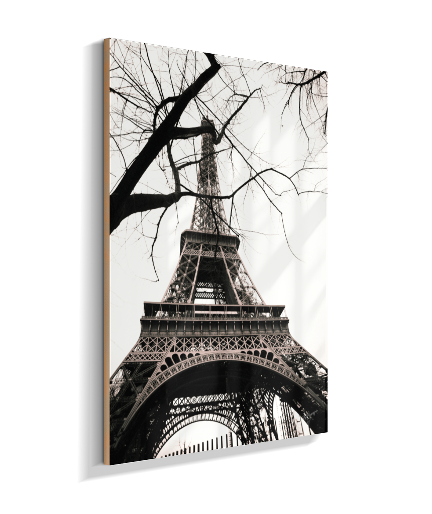 Winter Frame