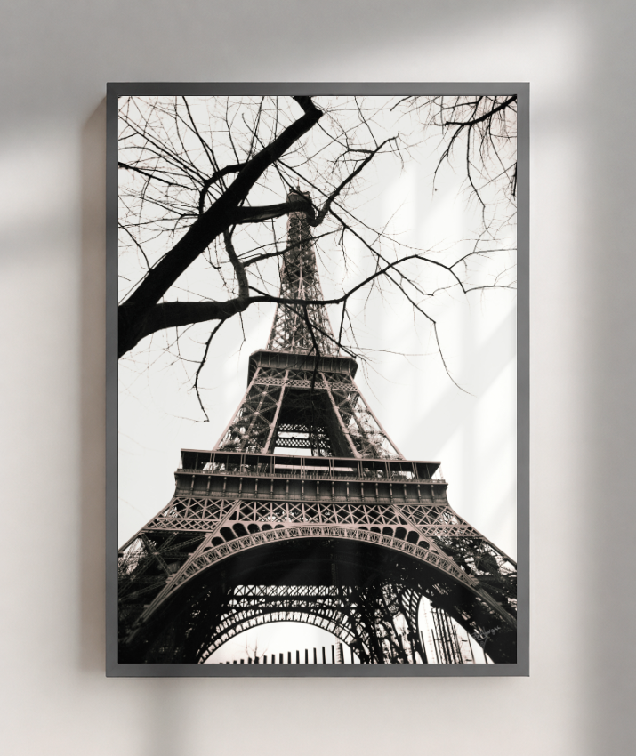 Winter Frame