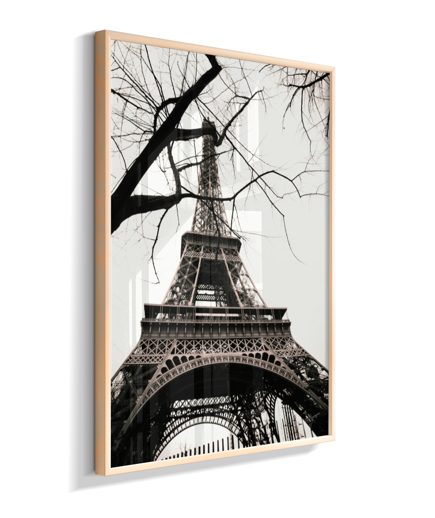 Winter Frame