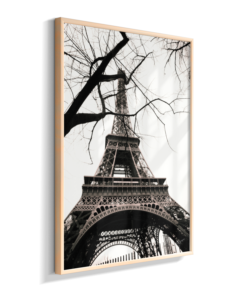 Winter Frame