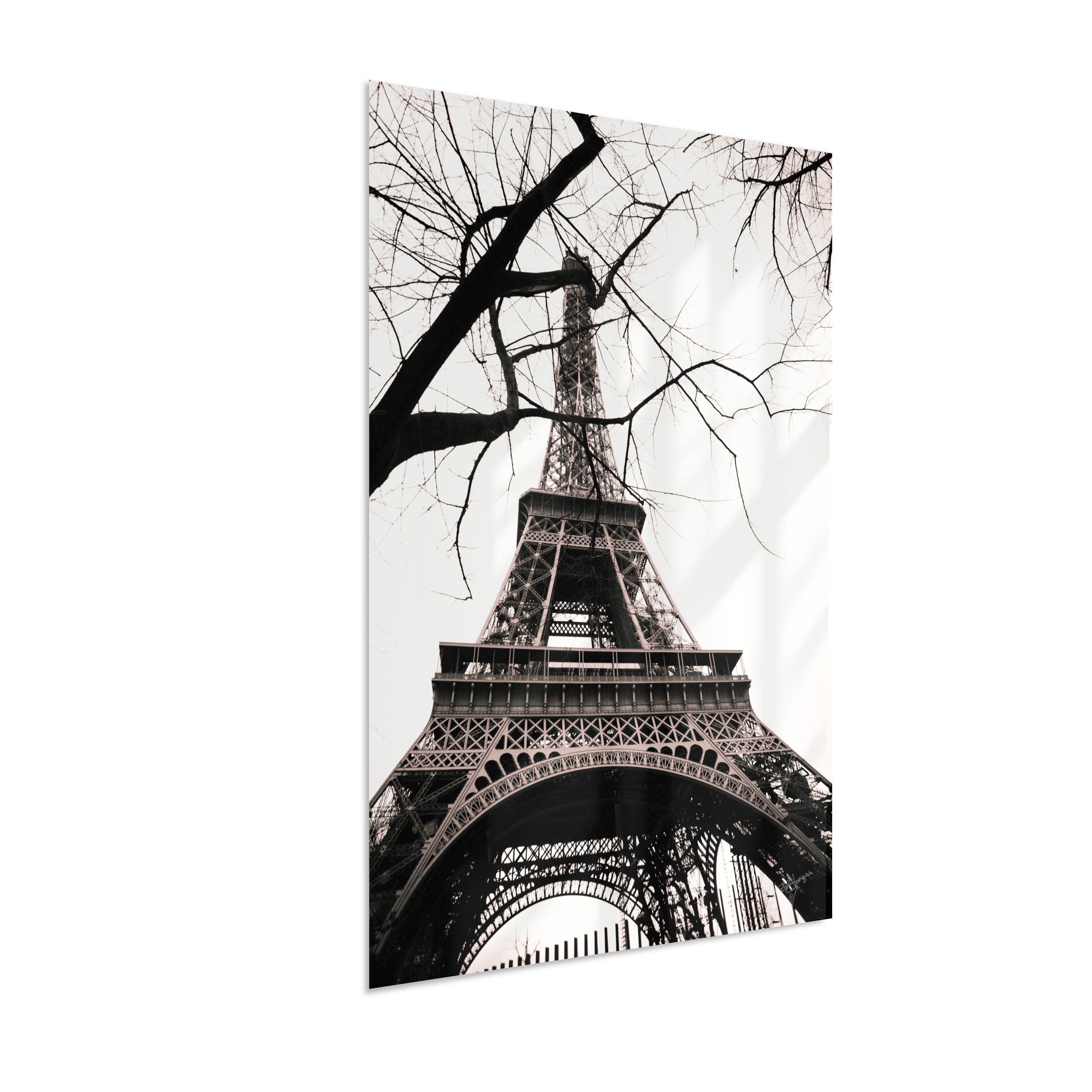 Winter Frame