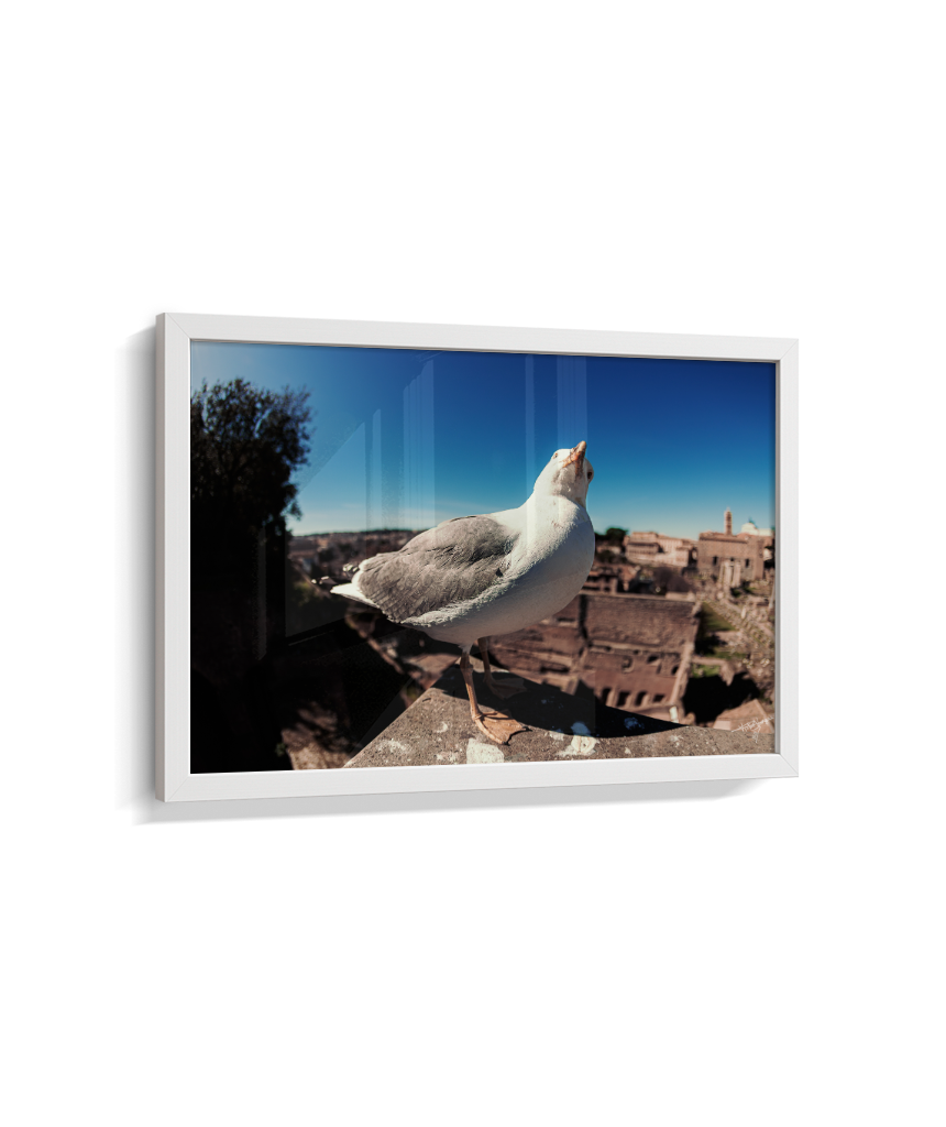 Roman Overlook