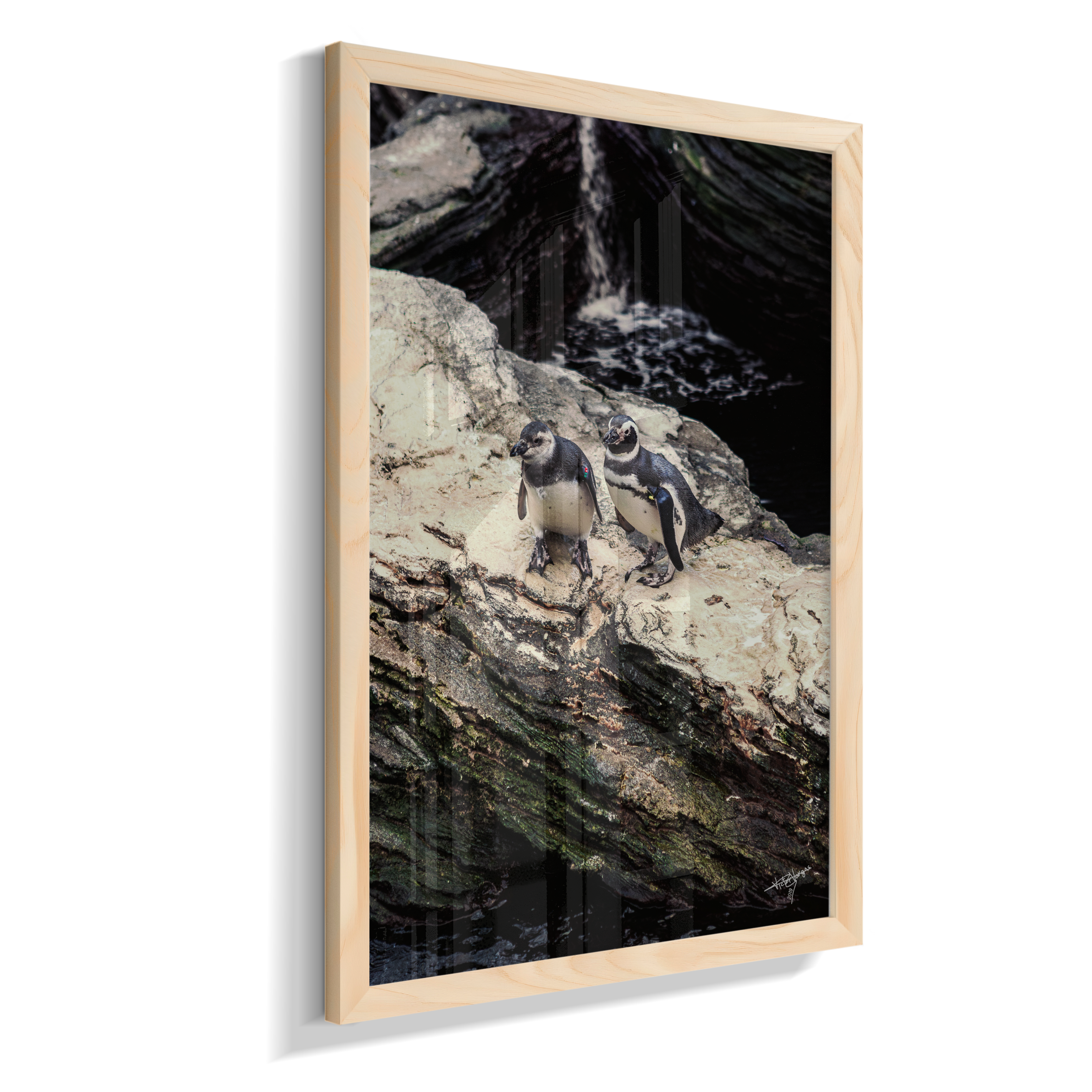 Stone Companions