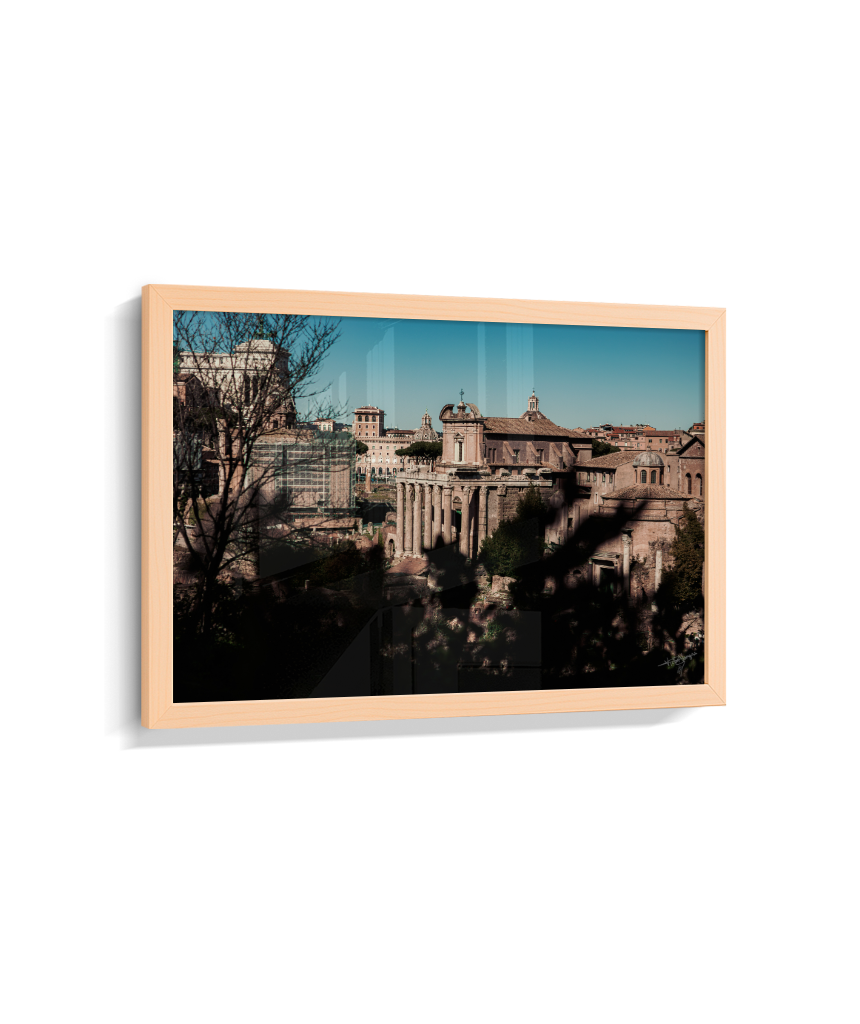 Ruins of Rome