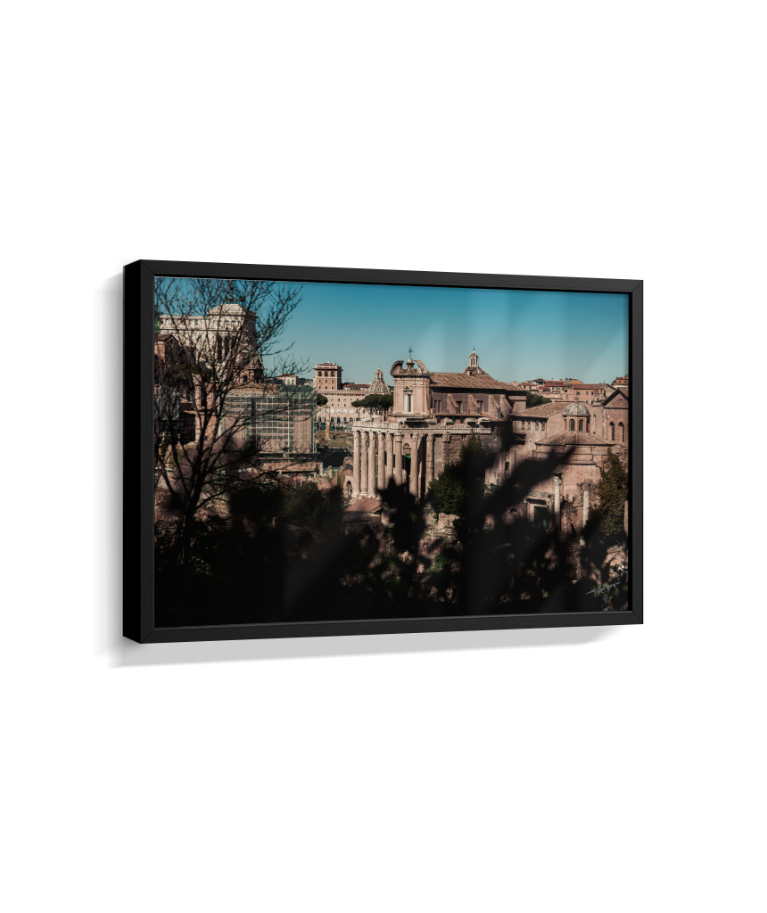 Ruins of Rome