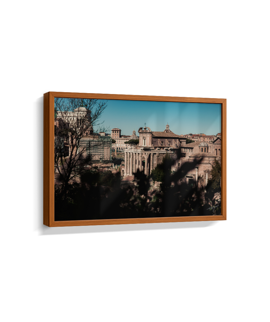 Ruins of Rome