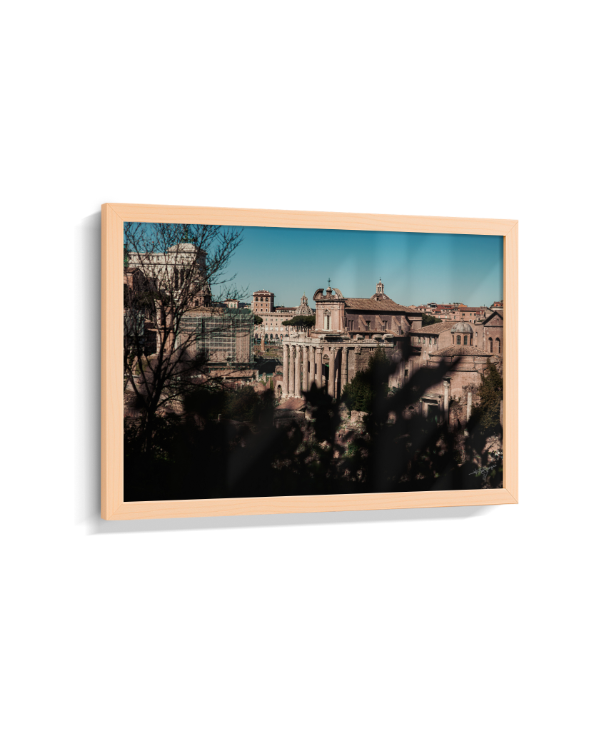 Ruins of Rome
