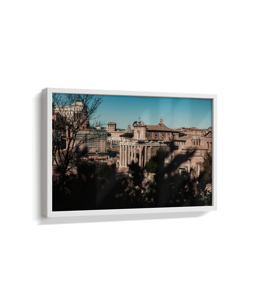 Ruins of Rome
