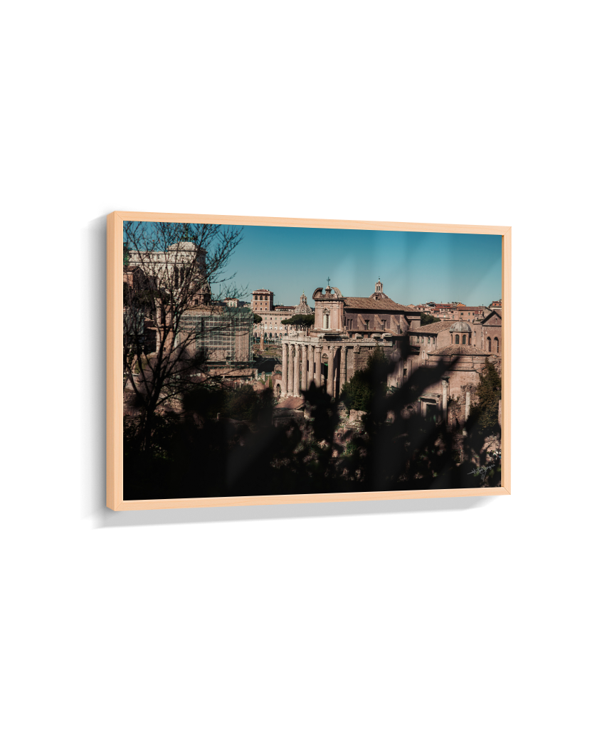 Ruins of Rome