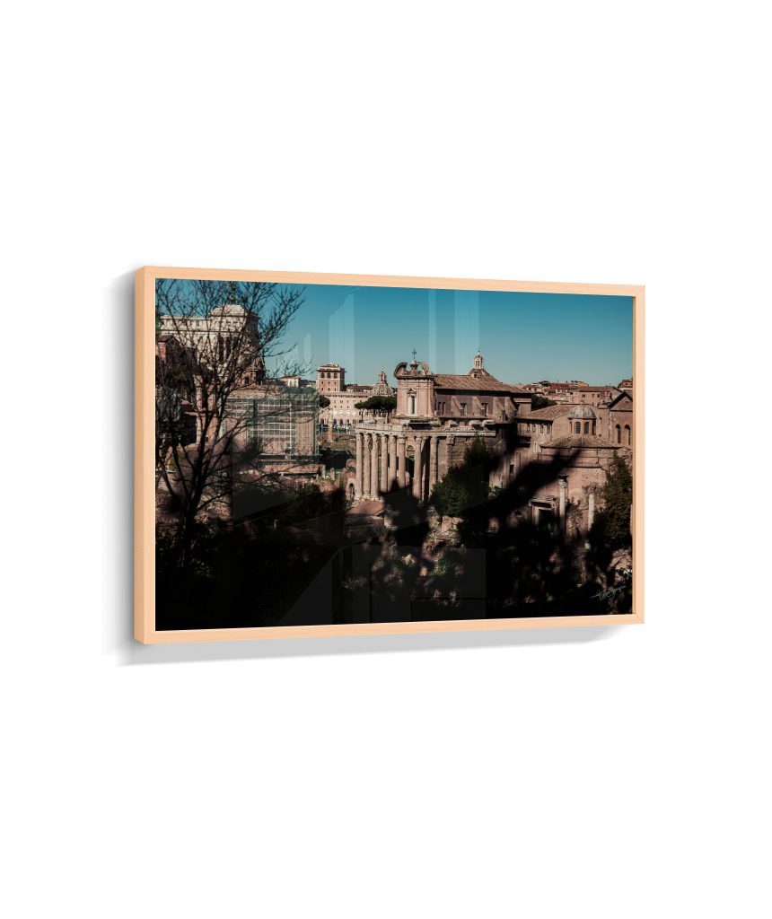 Ruins of Rome
