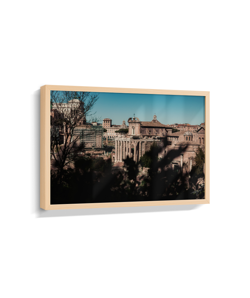 Ruins of Rome