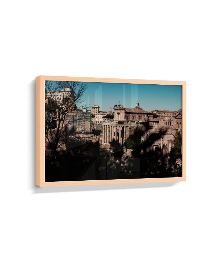 Ruins of Rome