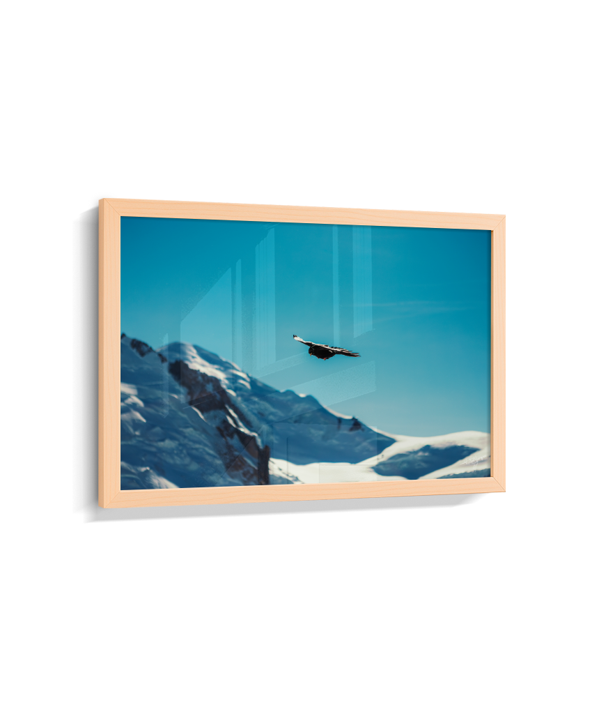 Above the Alps