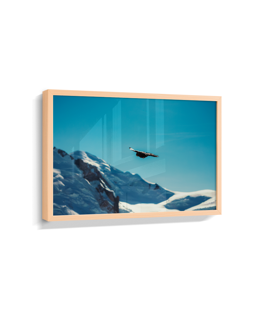 Above the Alps
