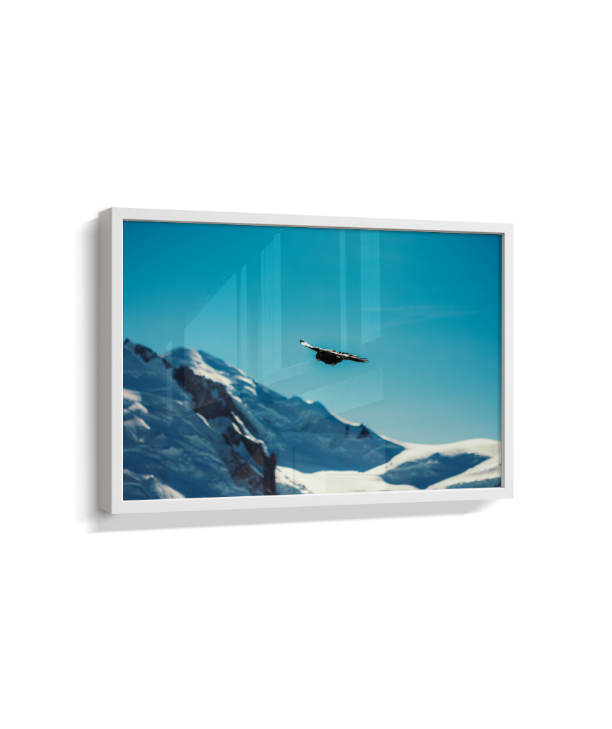 Above the Alps