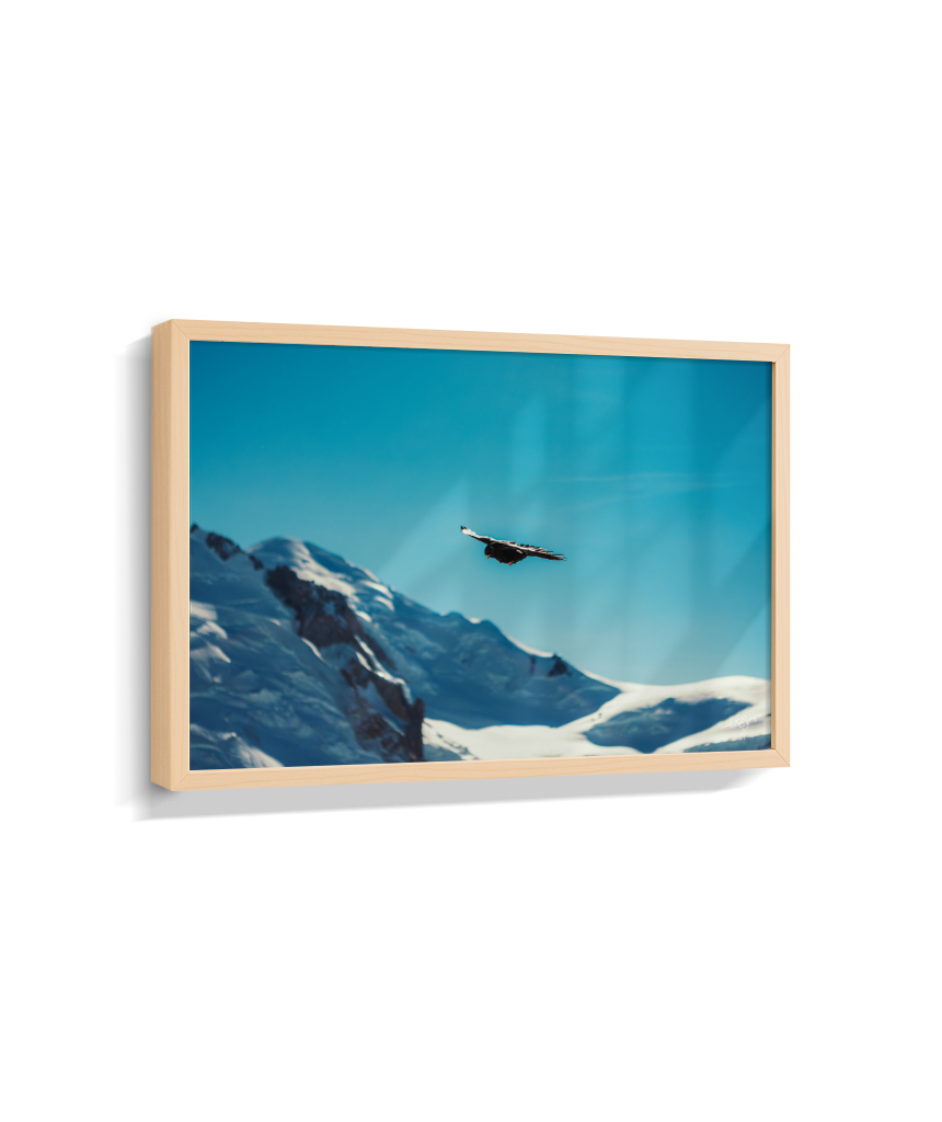 Above the Alps