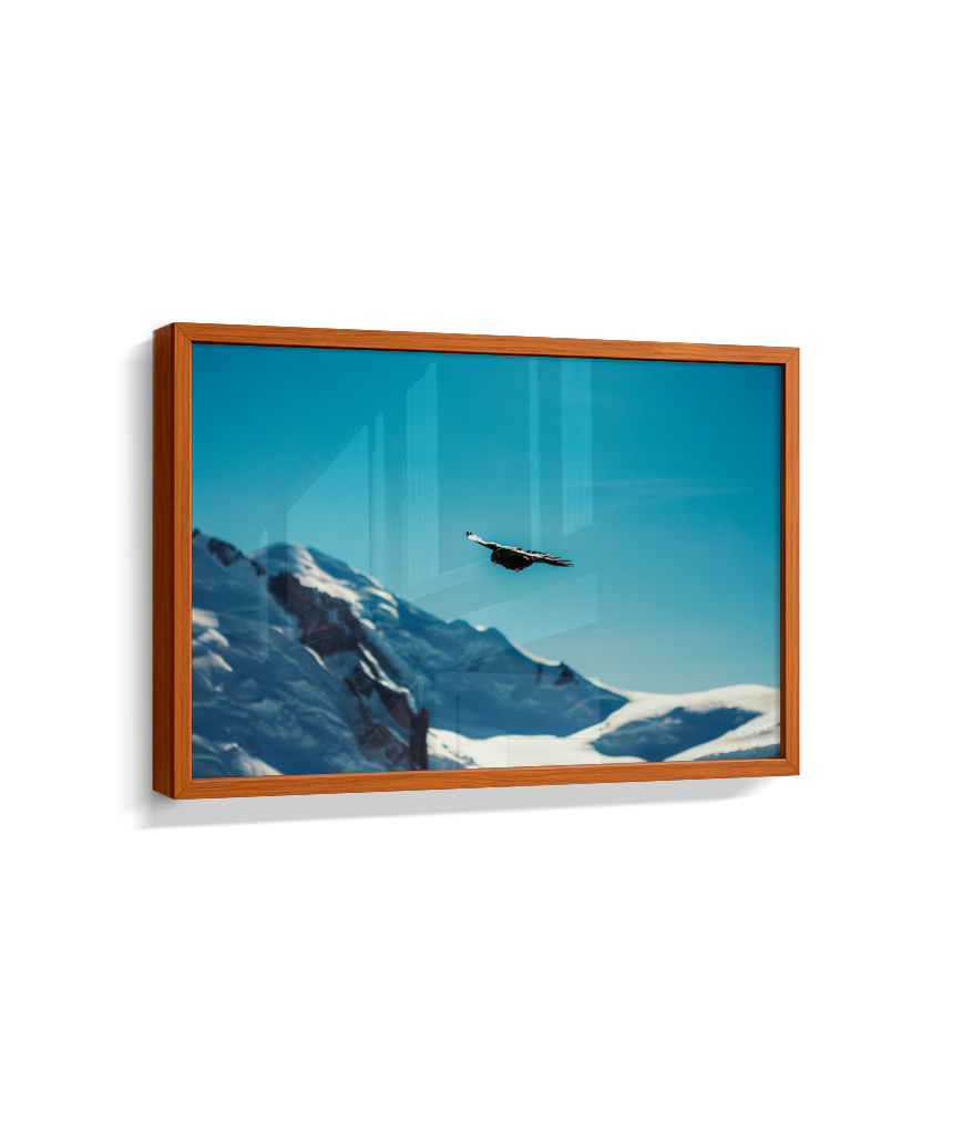 Above the Alps