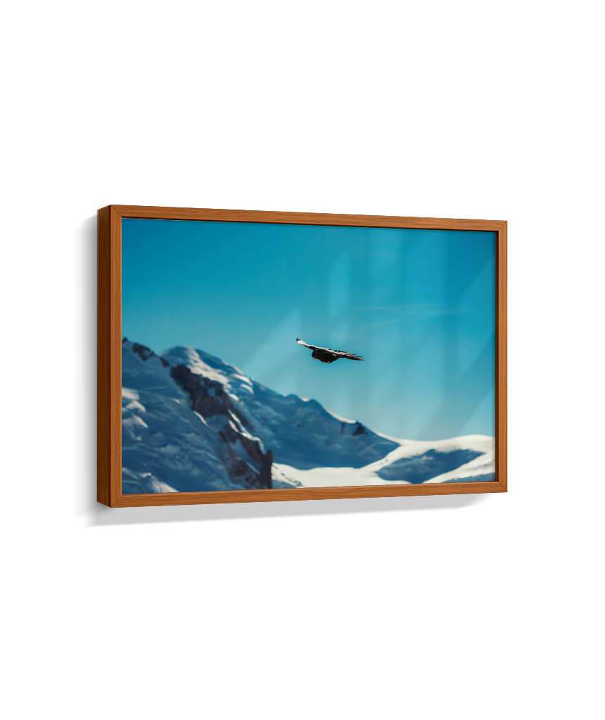 Above the Alps