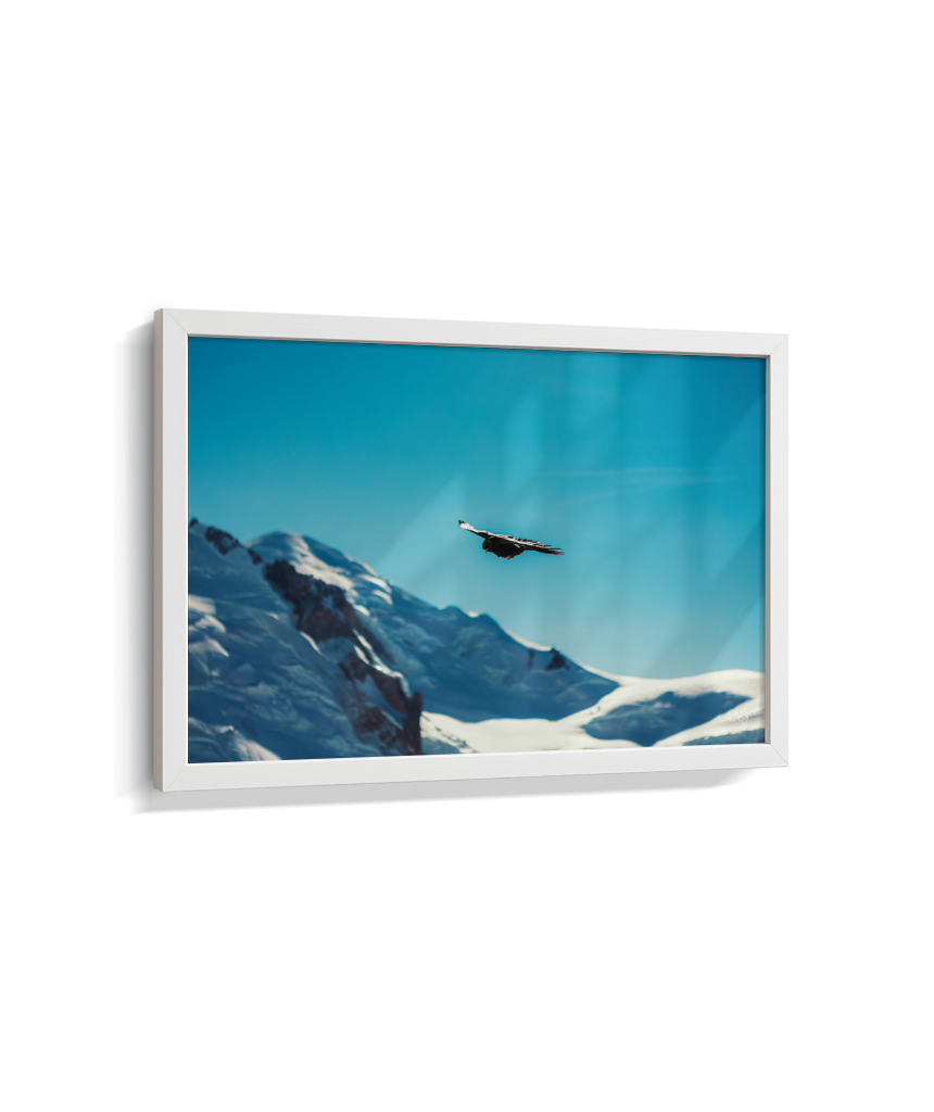 Above the Alps