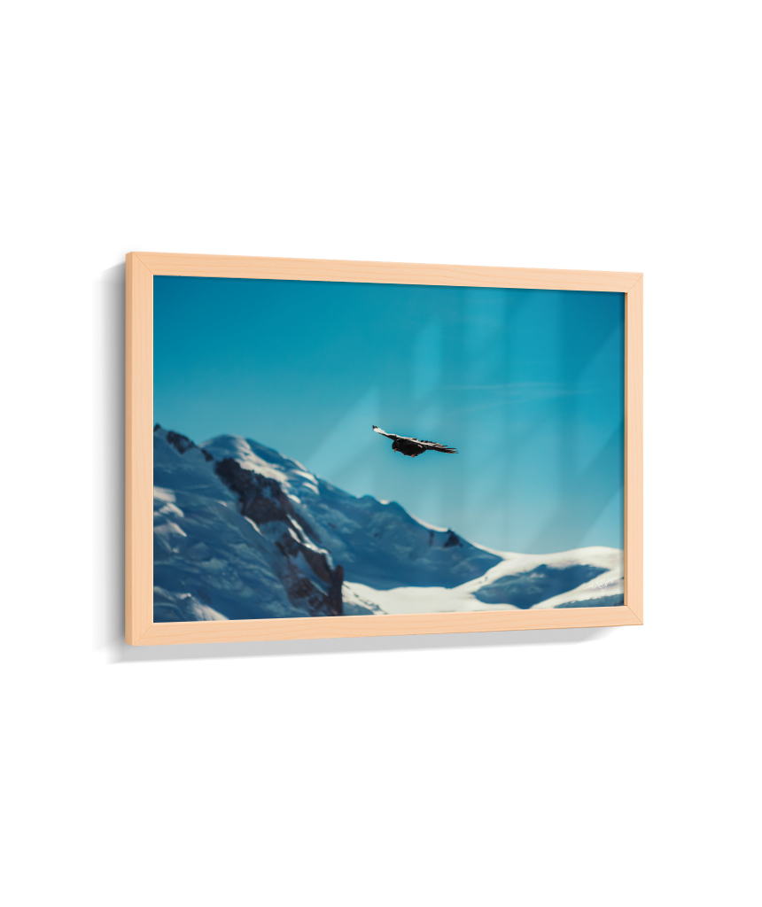Above the Alps