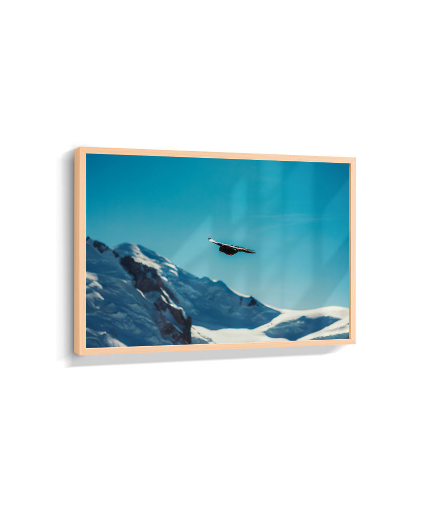 Above the Alps