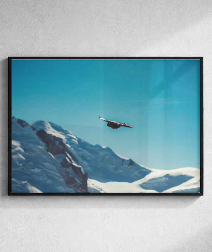 Above the Alps