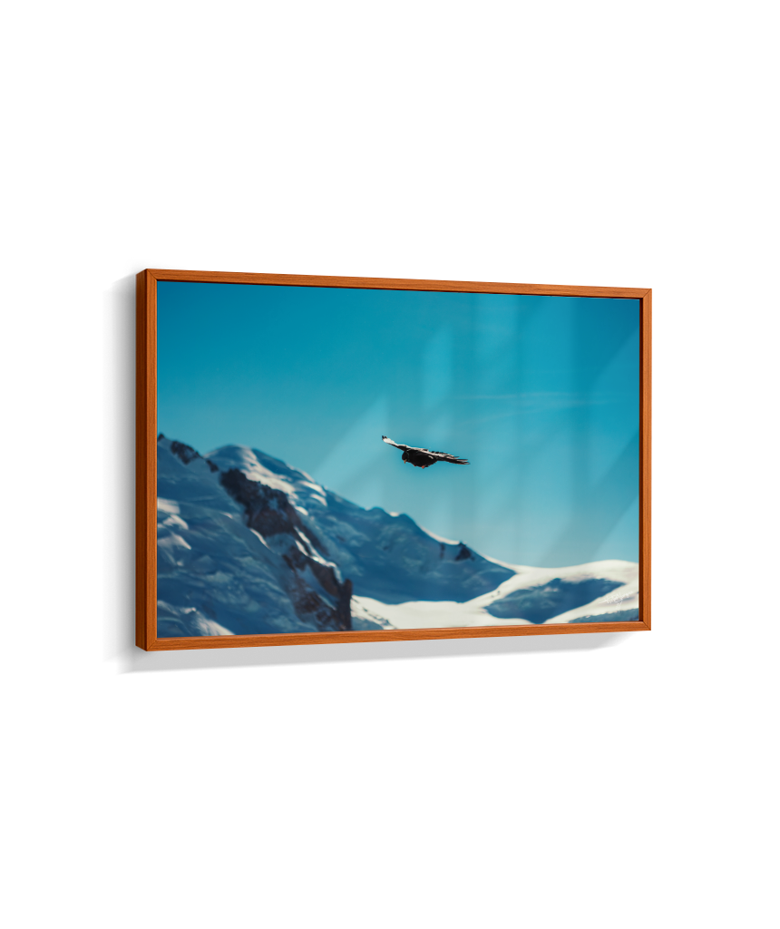 Above the Alps