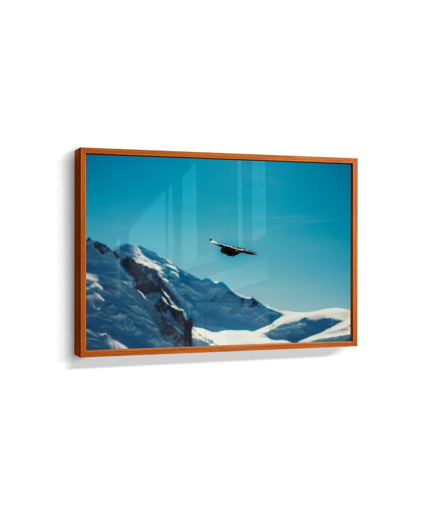Above the Alps