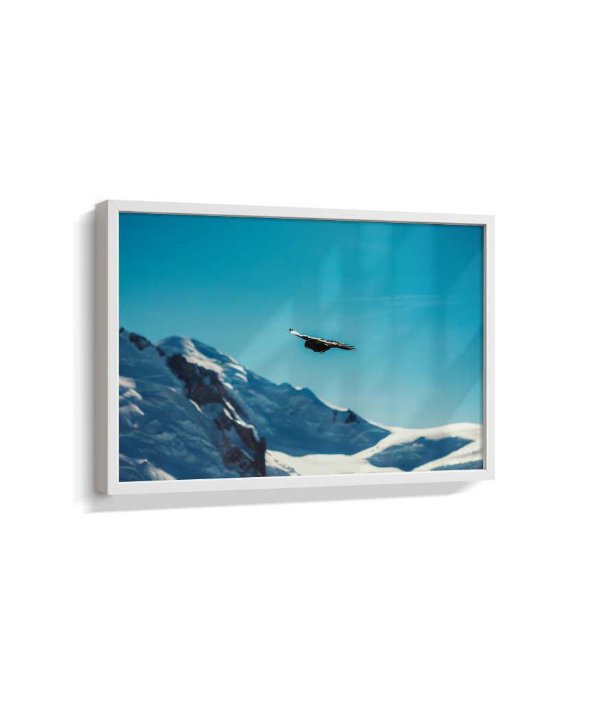 Above the Alps