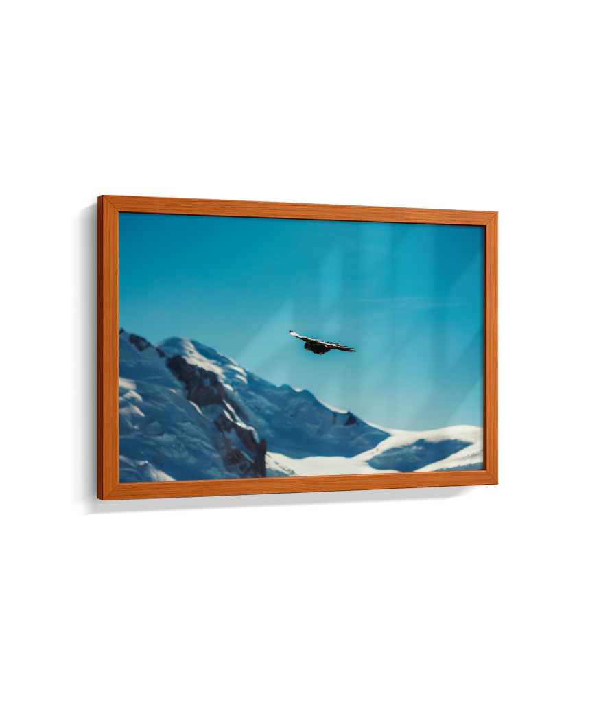 Above the Alps