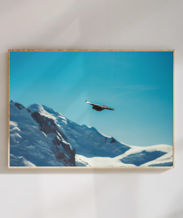 Above the Alps