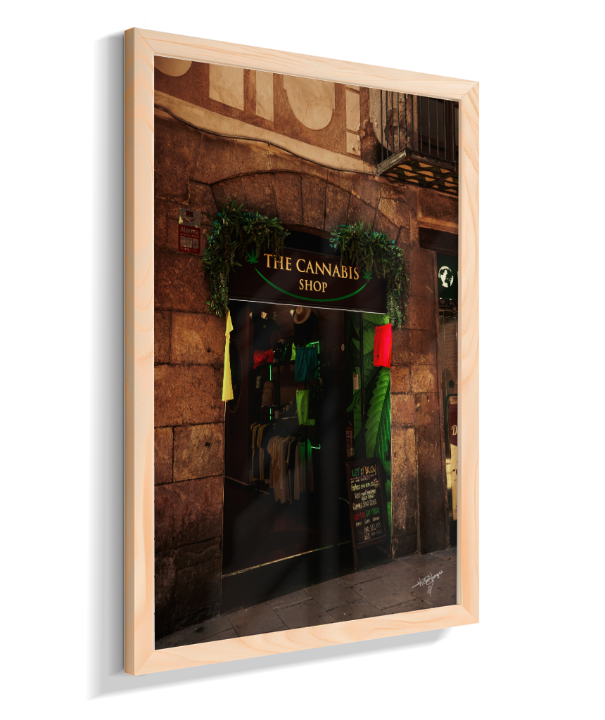 Green Window
