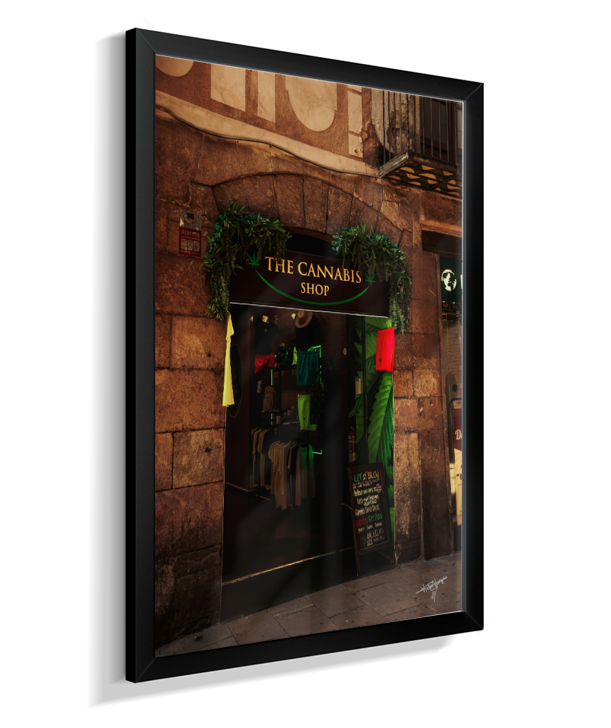 Green Window