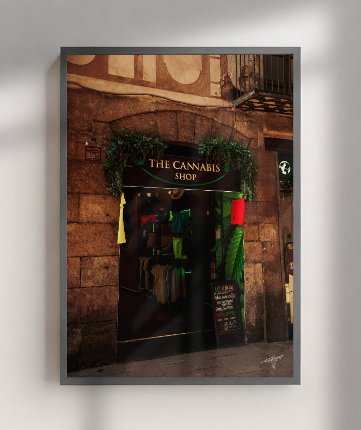Green Window