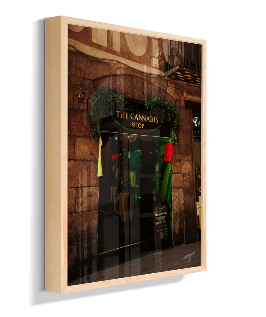 Green Window