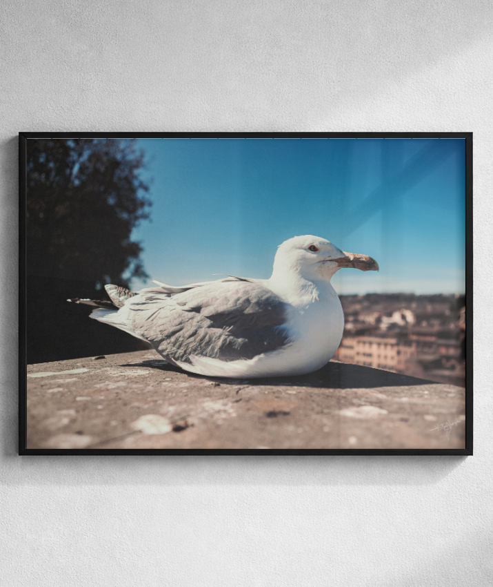 Resting Above Rome