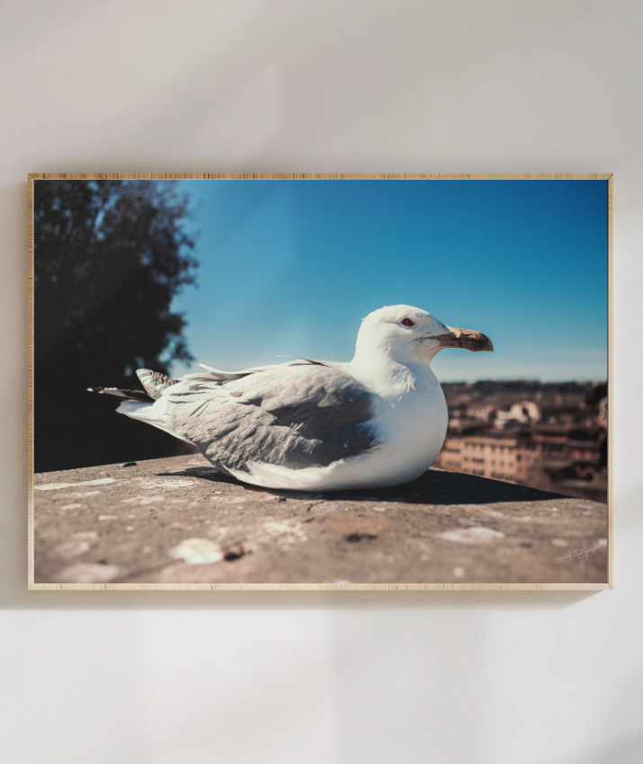 Resting Above Rome