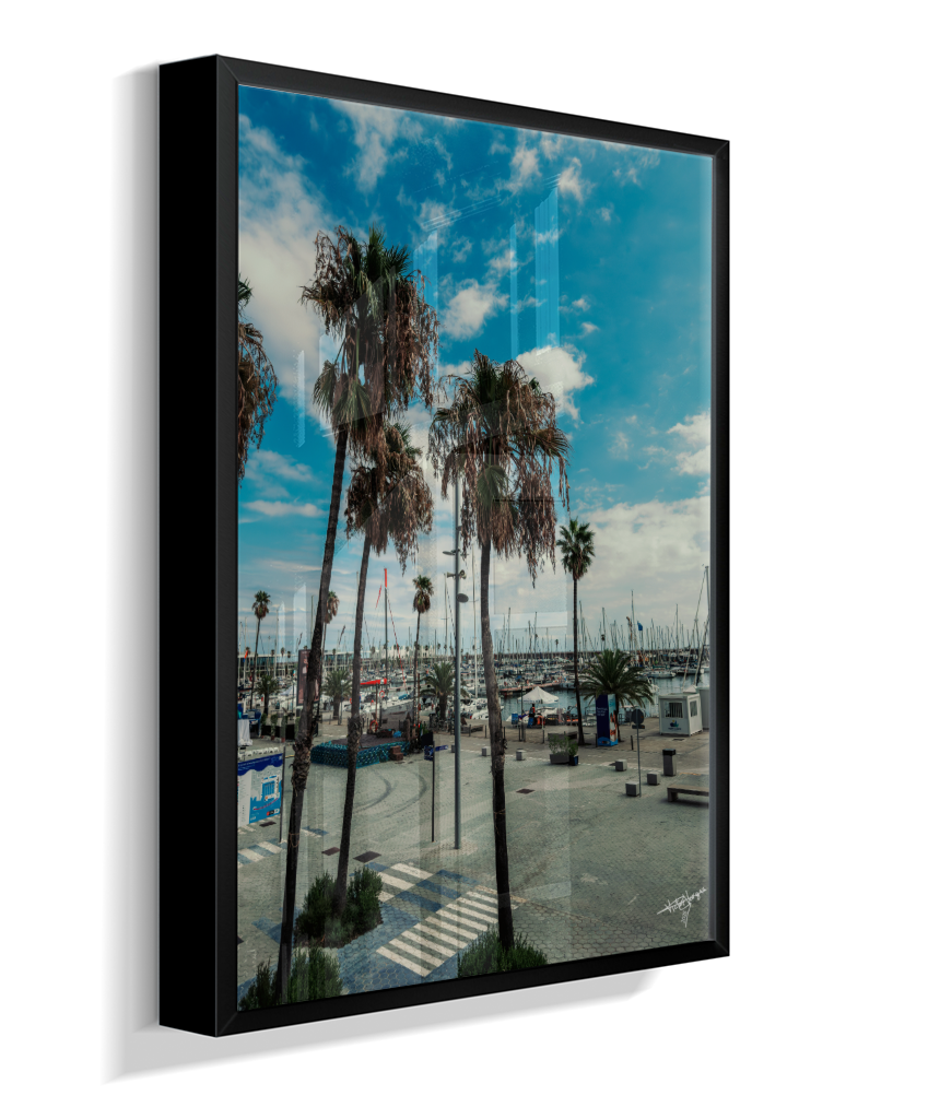 Harbor Palms