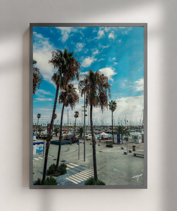 Harbor Palms