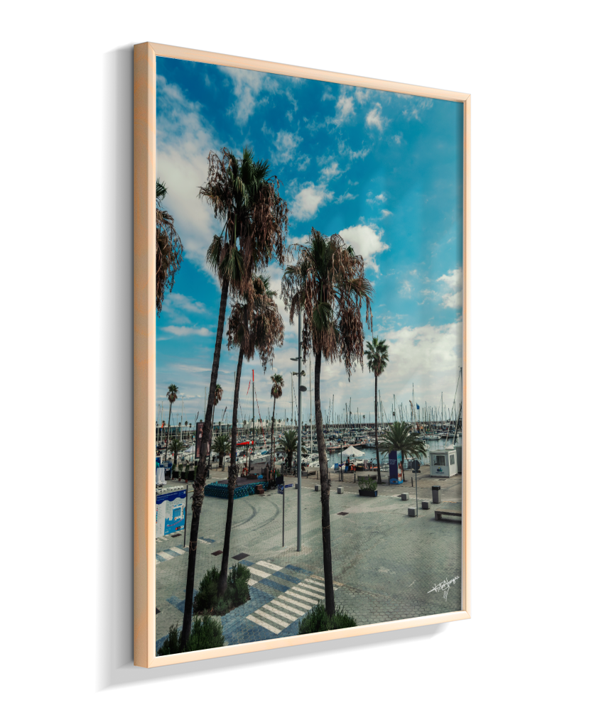 Harbor Palms