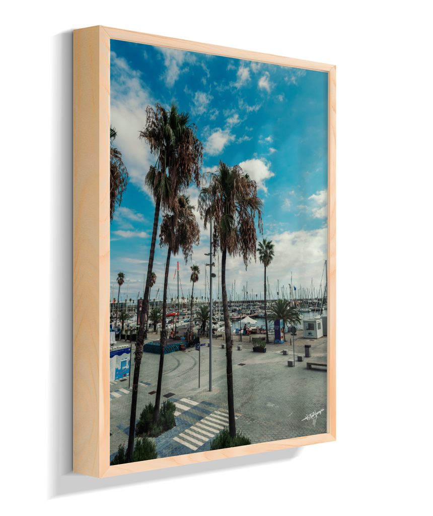 Harbor Palms