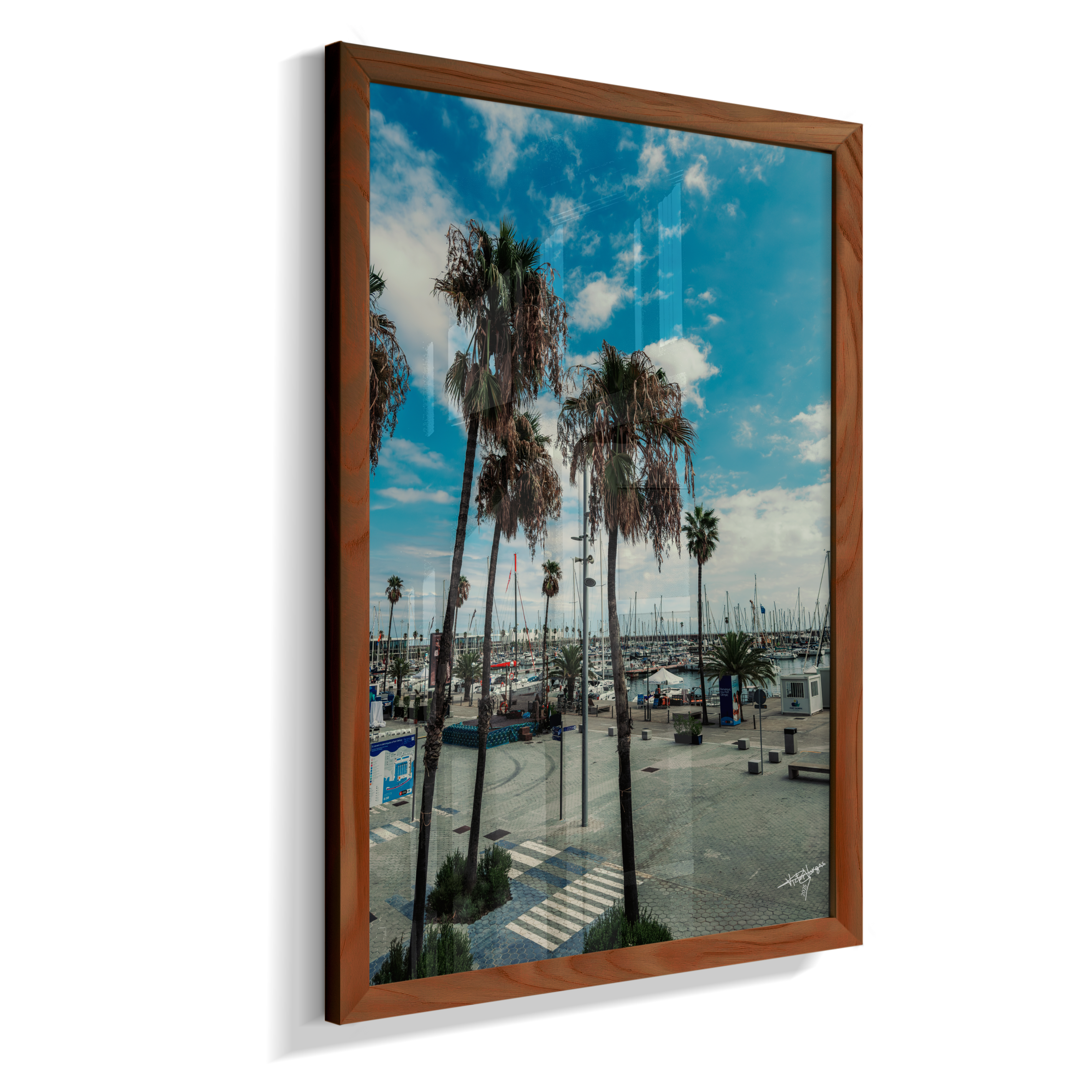 Harbor Palms