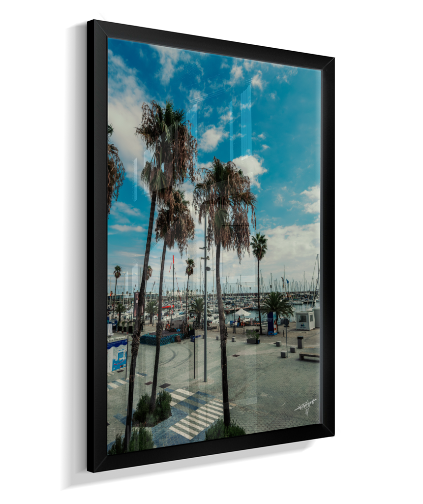 Harbor Palms