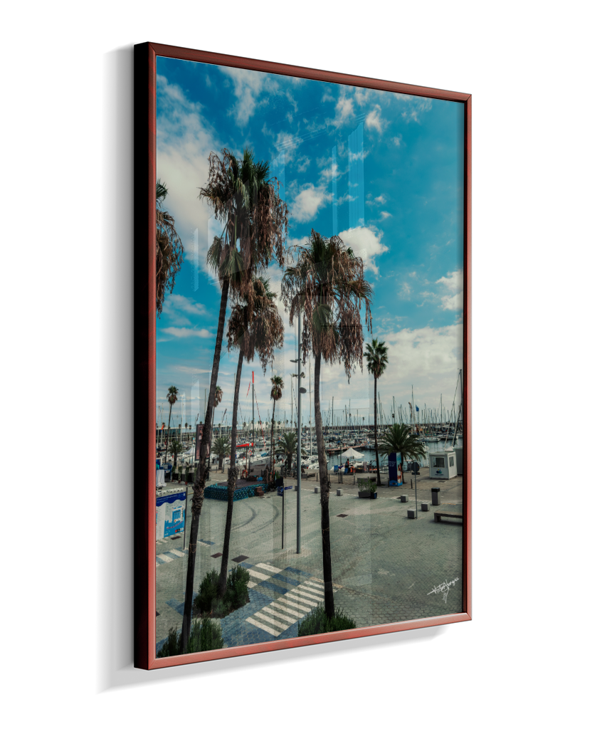 Harbor Palms