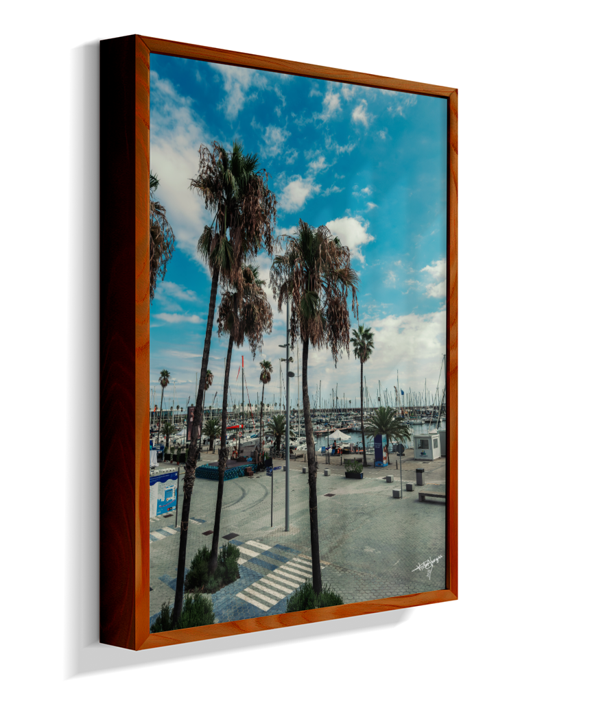 Harbor Palms