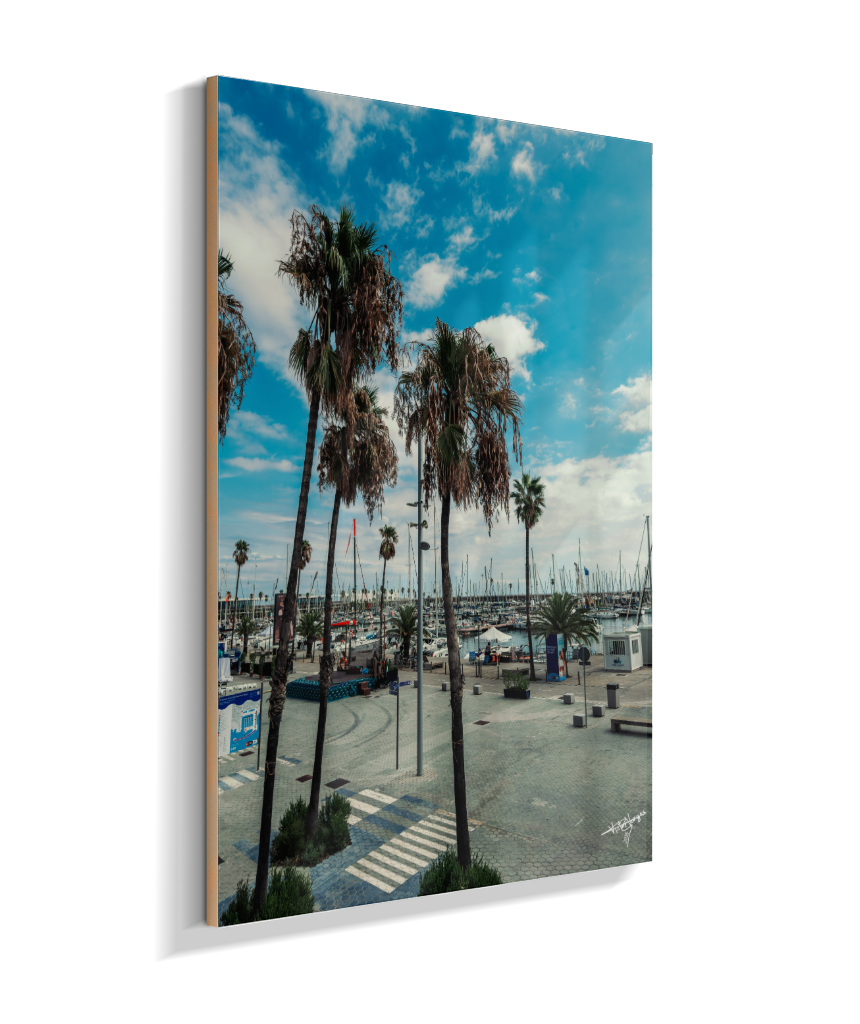 Harbor Palms